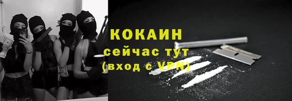 дурь Бронницы